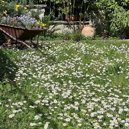 La Serra Sognante, Un Rifugio Incantevole Tra Natura E Relax *
