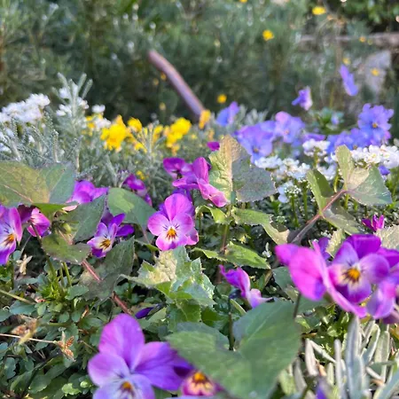 La Serra Sognante, Con Giardino Privato Tra E Fiesole 度假居 佛罗伦萨