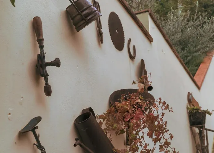 La Serra Sognante, Con Giardino Privato Tra E Fiesole Casa vacanze Firenze