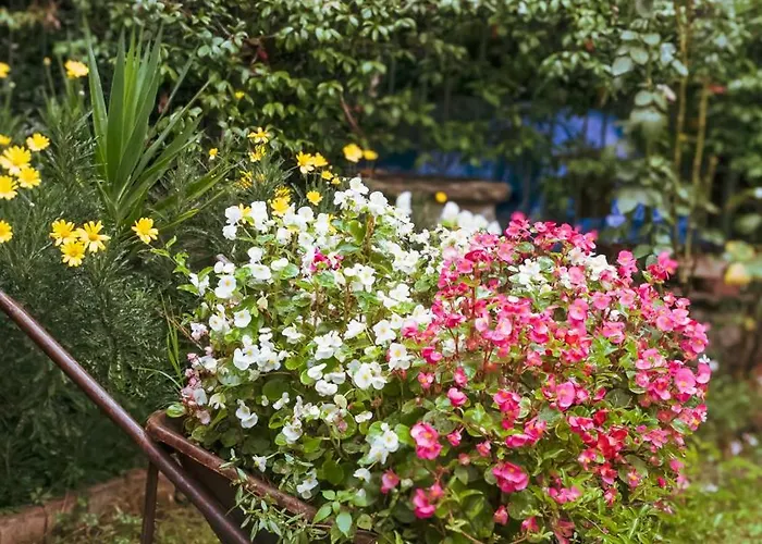 Casa vacanze La Serra Sognante, Con Giardino Privato Tra E Fiesole