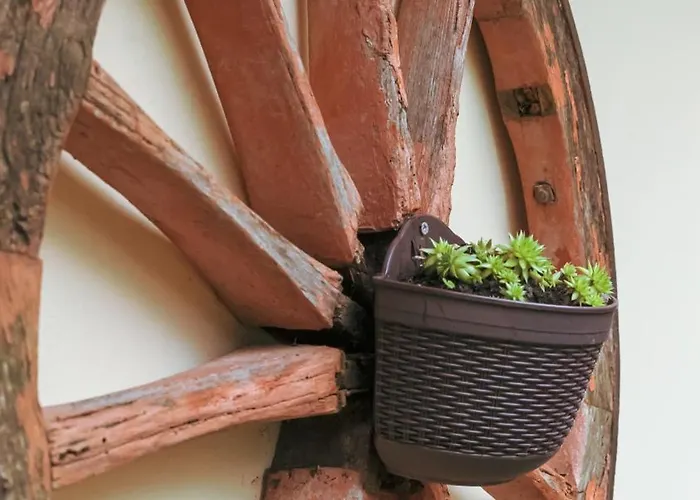 La Serra Sognante, Con Giardino Privato Tra E Fiesole Casa vacanze Firenze