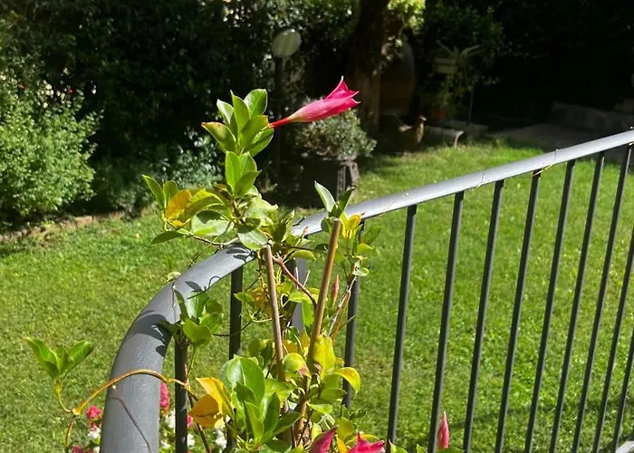 La Serra Sognante, Con Giardino Privato Tra E Fiesole Casa vacanze *