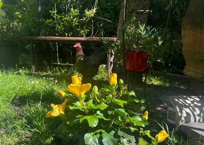 La Serra Sognante, Con Giardino Privato Tra E Fiesole Casa vacanze Firenze