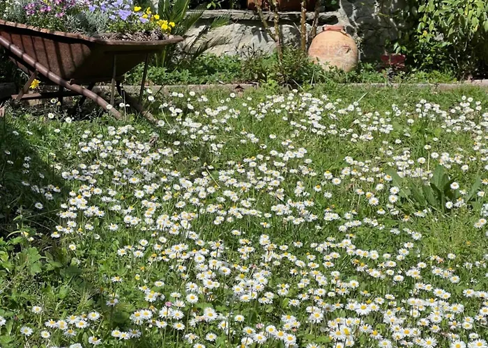 La Serra Sognante, Con Giardino Privato Tra E Fiesole *
