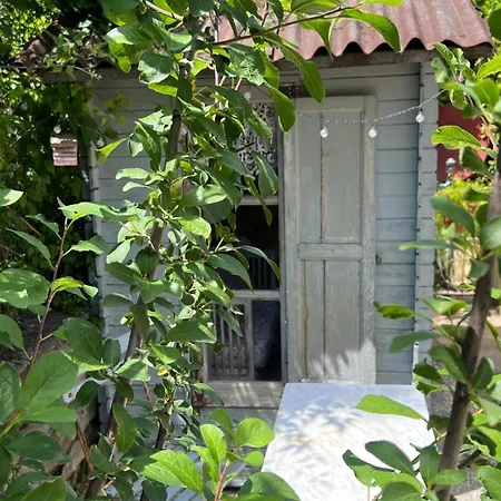 Casa de Férias La Serra Sognante, Un Rifugio Incantevole Tra Natura E Relax *